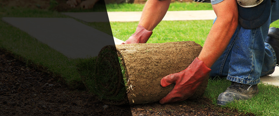 East Bridgewater Landscapers